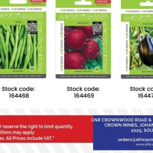 Seeds at Africa Cash and Carry