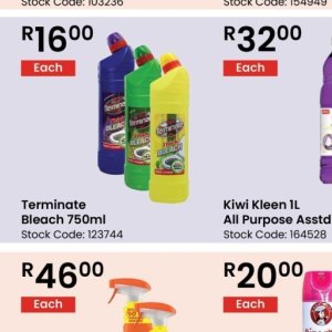 Bleach at Africa Cash and Carry