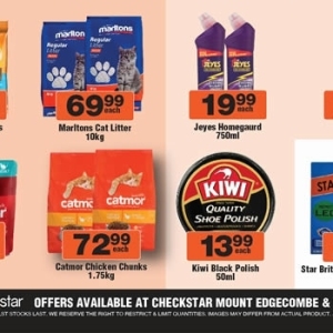 Kiwi at Check Star
