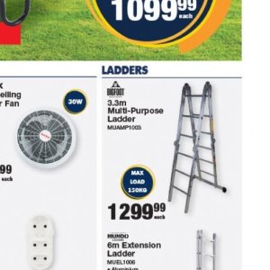 Ladder at Mica