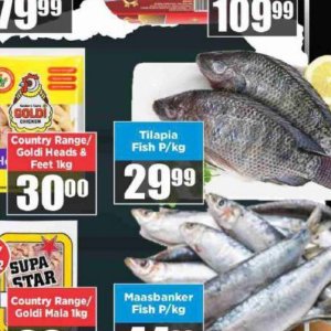 Fish at Big save