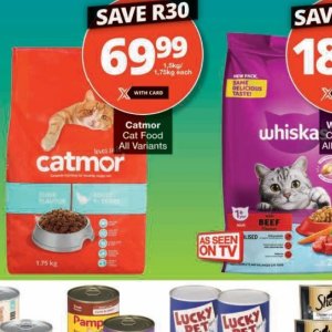  CAT at Checkers