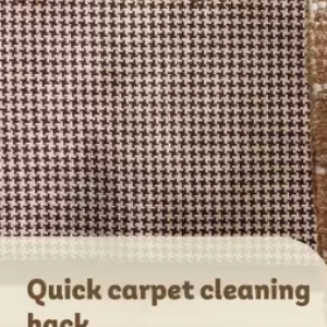 Carpet at PEP