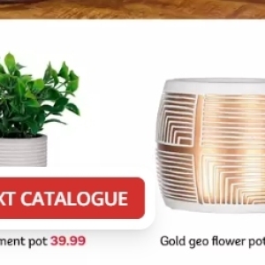 Flower pot at PEP
