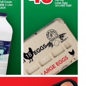 Eggs at OK Foods