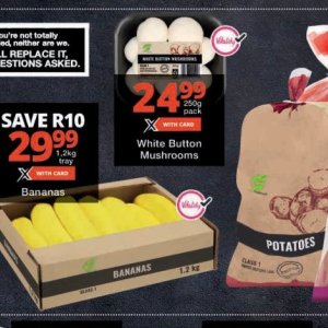 Mushrooms at Checkers