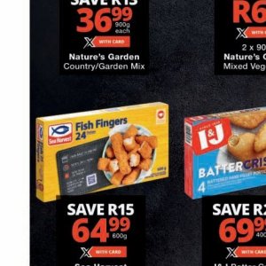 Fish at Checkers