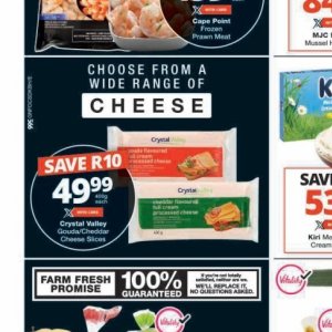 Gouda at Checkers