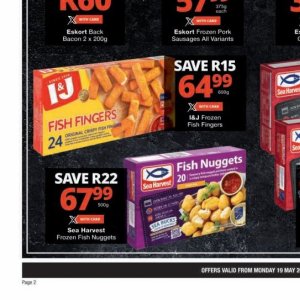 Fish at Checkers