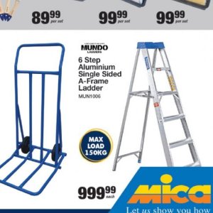 Ladder at Mica