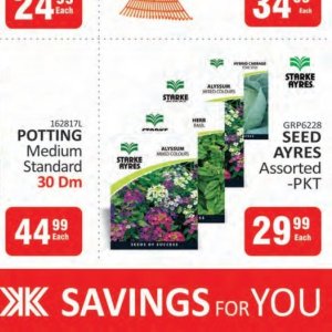 Seeds at Kit Kat Cash&Carry