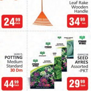 Cabbage at Kit Kat Cash&Carry