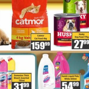 CAT at Big save