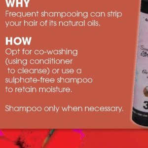 Shampoo at Clicks