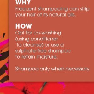 Shampoo at Clicks