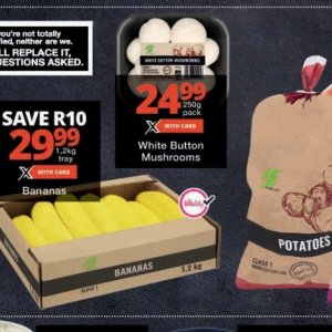 Mushrooms at Checkers