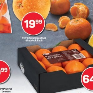 Grapefruit at Pick n Pay Hyper