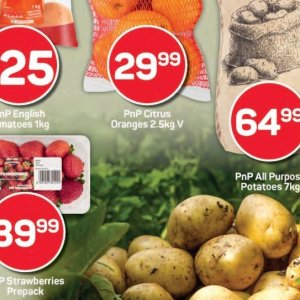 Oranges at Pick n Pay Hyper