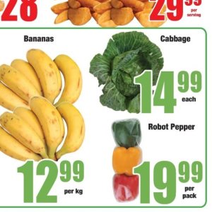 Pepper at Boxer Superstores