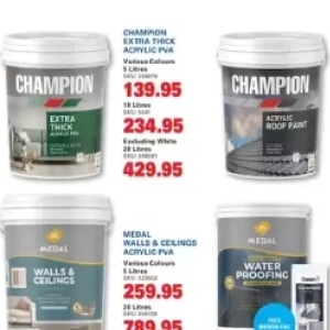 Paint at Cashbuild