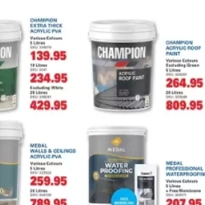 Paint at Cashbuild