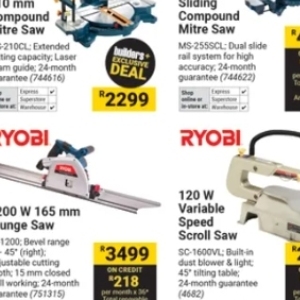 Saw at Builders Warehouse