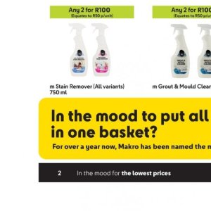 Stain remover at Makro