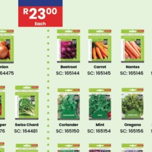 Beetroot at Africa Cash and Carry
