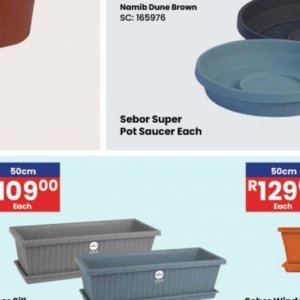 Pot at Africa Cash and Carry