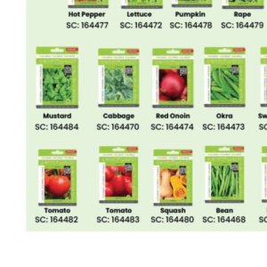 Cabbage at Africa Cash and Carry