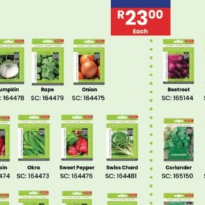 Onion at Africa Cash and Carry