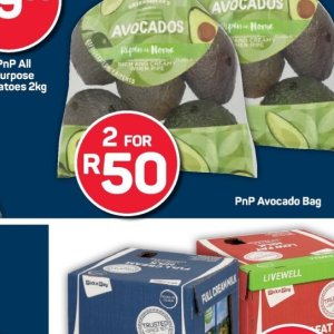 Avocado at Pick n Pay Hyper