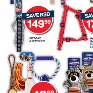 Chain at Pick n Pay Hyper