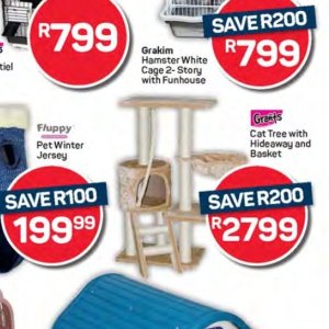  CAT at Pick n Pay Hyper