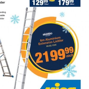 Ladder at Mica