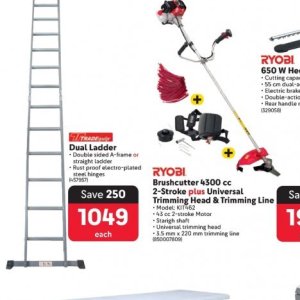 Ladder at Makro