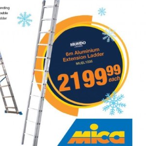 Ladder at Mica