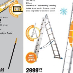 Ladder at Mica