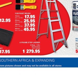 Ladder at Cashbuild