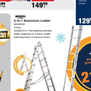 Ladder at Mica