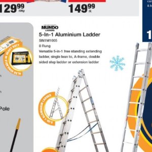 Ladder at Mica