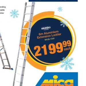 Ladder at Mica