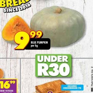 Pumpkin at Shoprite