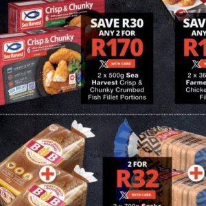 Fish at Checkers