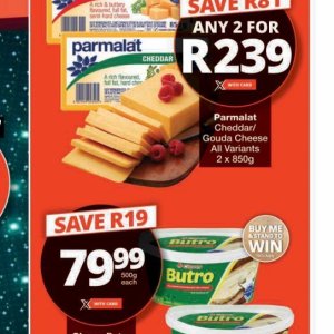 Gouda at Checkers