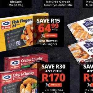 Fish at Checkers