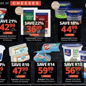 Cheese at Checkers