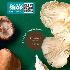 Mushrooms at Checkers