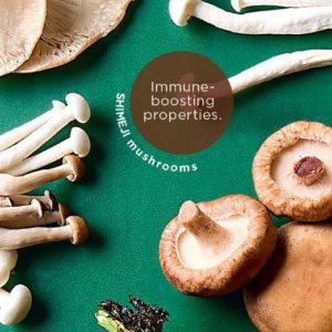 Mushrooms at Checkers