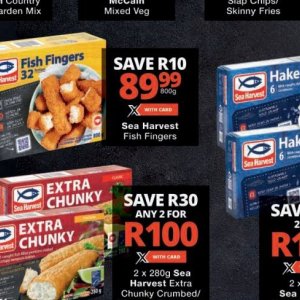 Fish at Checkers